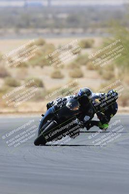 media/May-14-2023-SoCal Trackdays (Sun) [[024eb53b40]]/Turn 5 Tree of Life (1125am)/